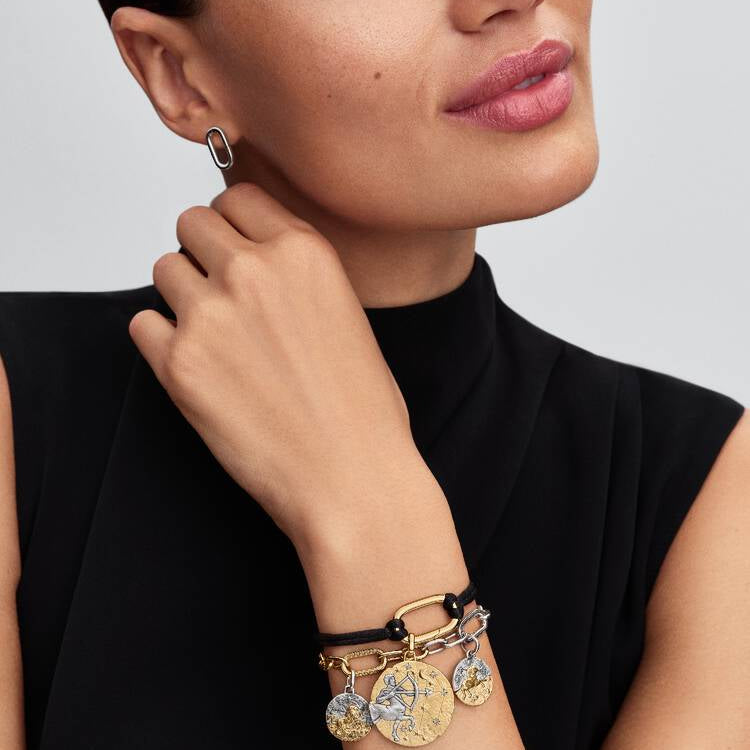 Leo Two-tone Zodiac Medallion Pandora Charm