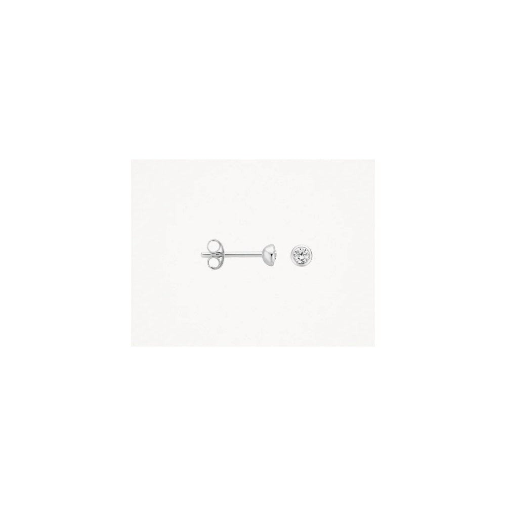 Blush 14k White Gold with Zirconia Stud Earrings