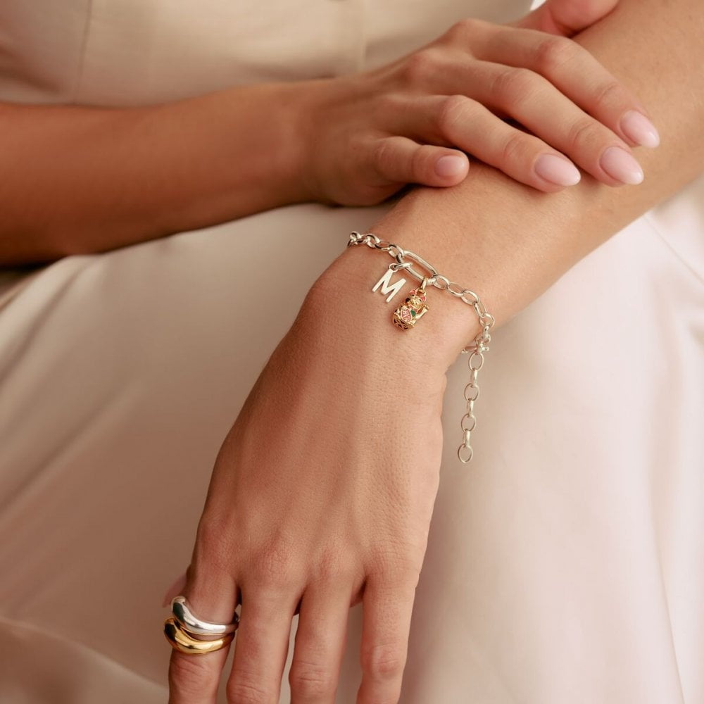 Charm bracelet with Connect link silver length 17