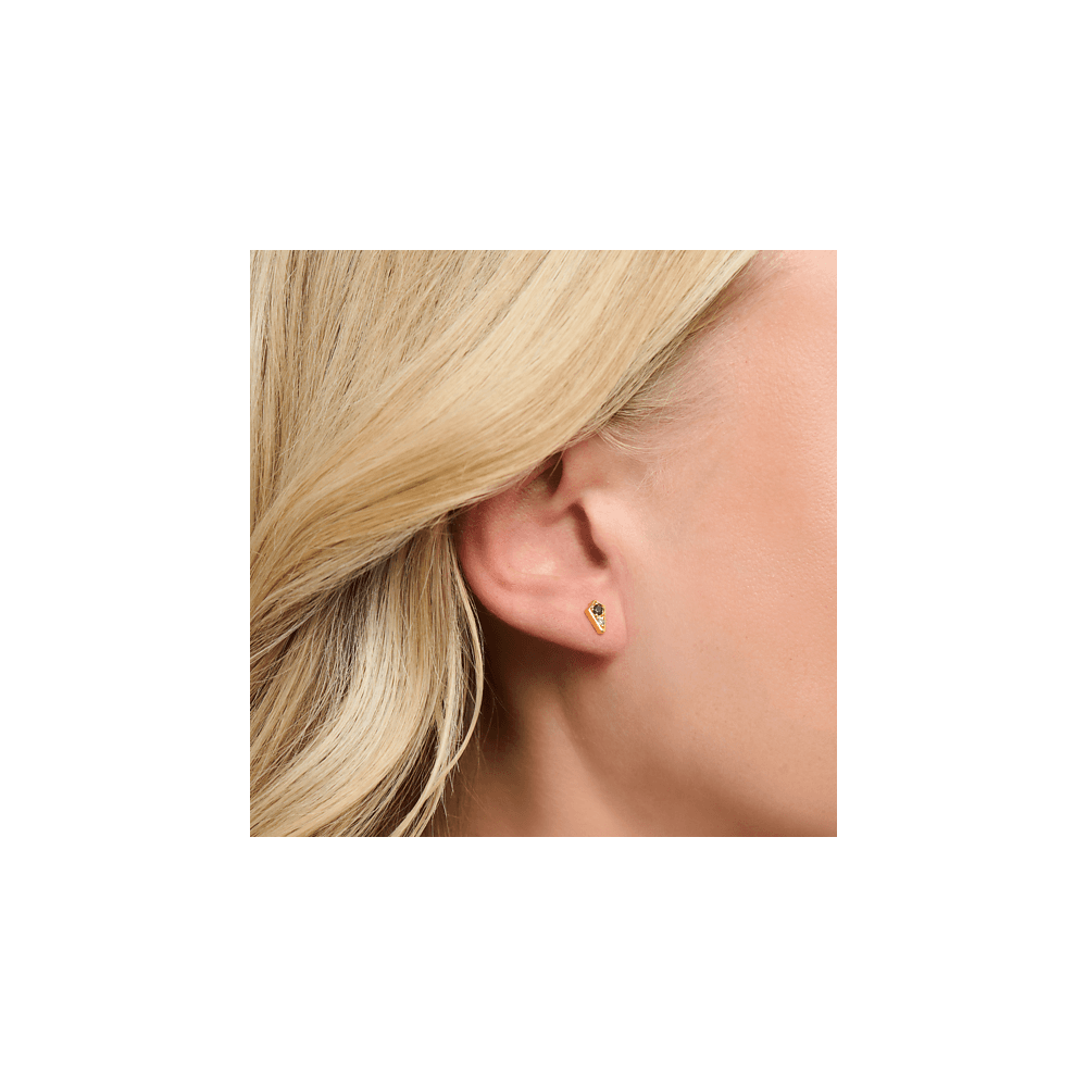 Gold On Silver Royalty Stud Earrings