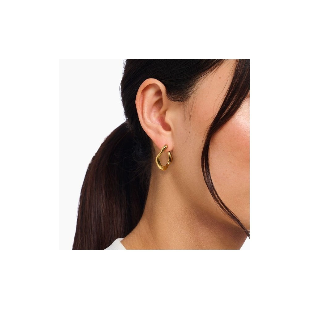 Gold-plated small hoop earrings Natural Beauty