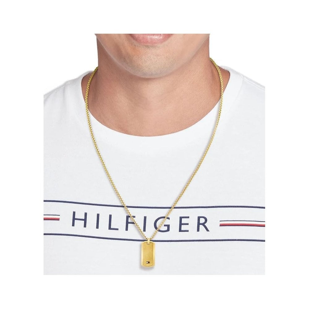 Jameson, Gold Stainless Steel Gents Dog Tag Pendant