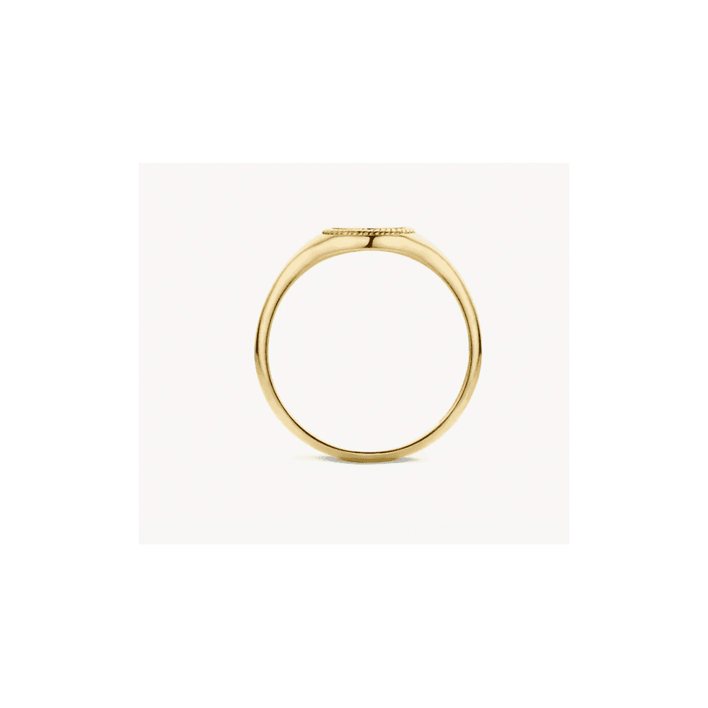14CT YELLOW GOLD SIGNET RING WITH TWISTED MODIF
