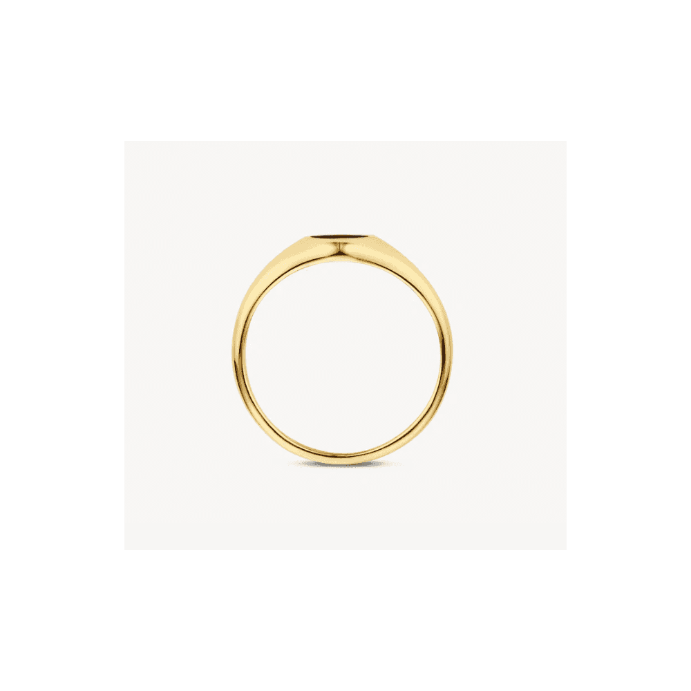 14CT YG & ONXY RING