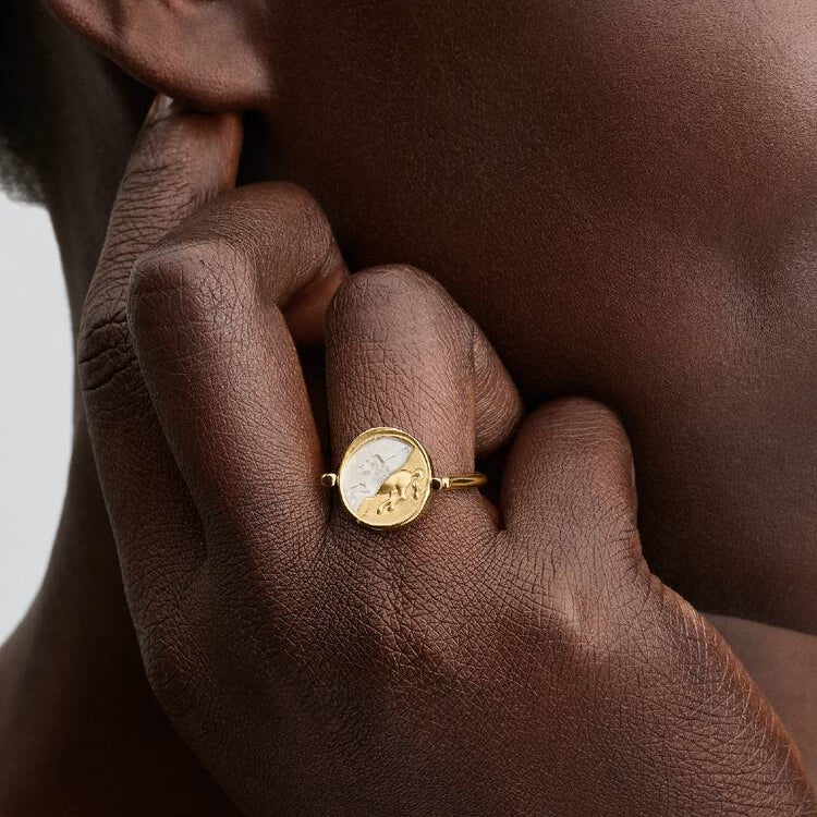 Pegasus Reversible Medallion Two-Toned Pandora Ring