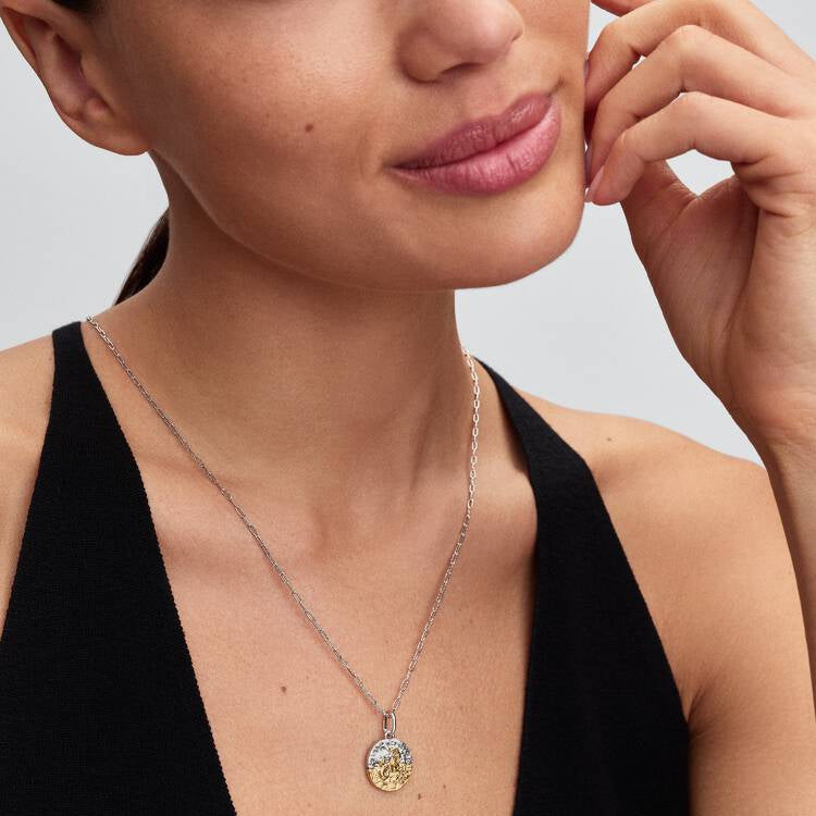 Capricorn Two-tone Zodiac Medallion Pandora Charm
