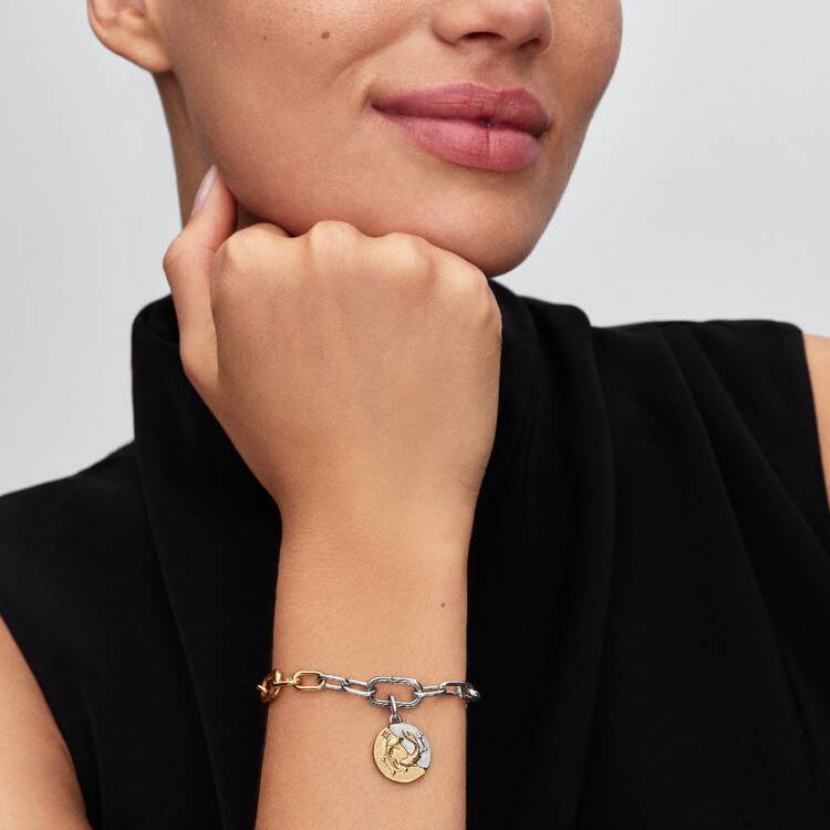 Pisces Two-tone Zodiac Medallion Pandora Charm