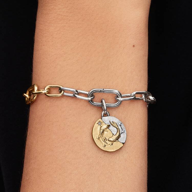 Pisces Two-tone Zodiac Medallion Pandora Charm