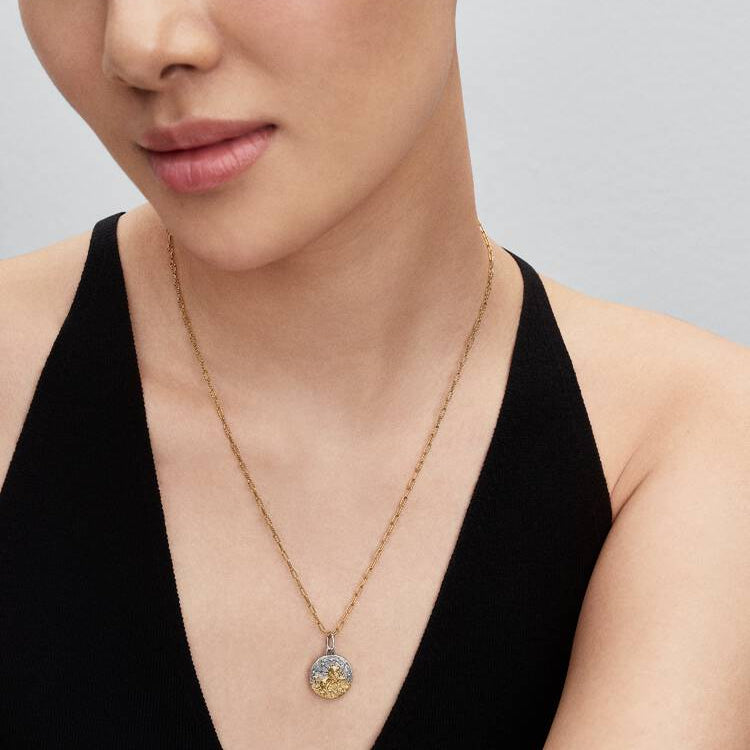 Leo Two-tone Zodiac Medallion Pandora Charm