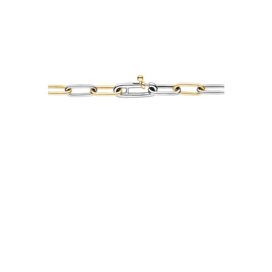 TISENTO TWO-TONED LINK BRACELET