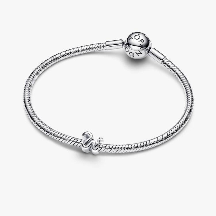 Snake Mini Charm