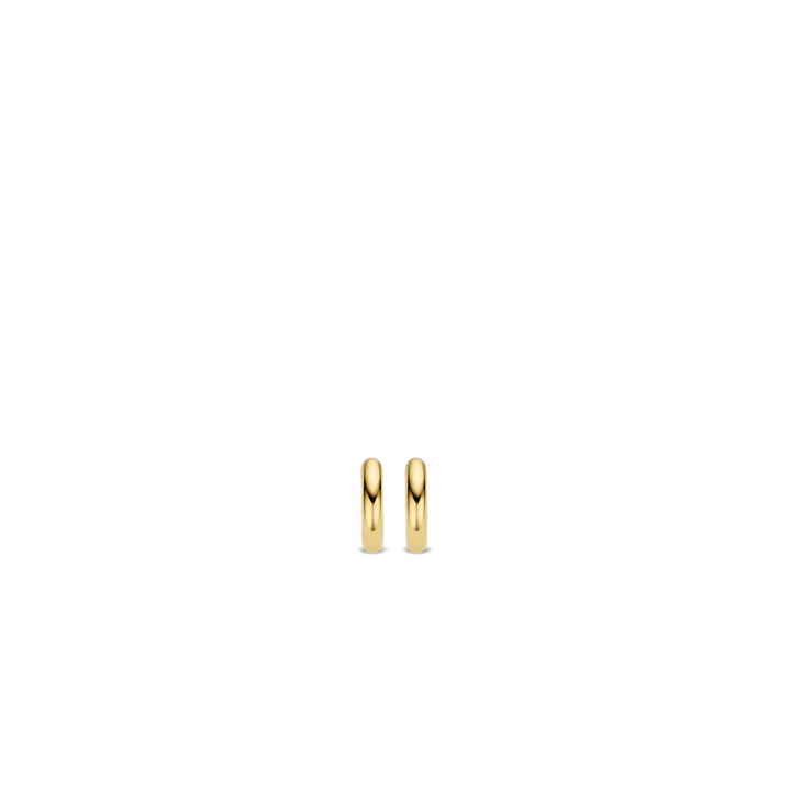 TISENTO EARRINGS