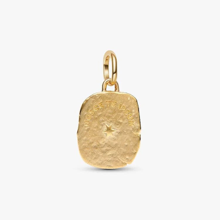 14ct Gold on Silver Eye Medallion Two-tone Pandora Charm
