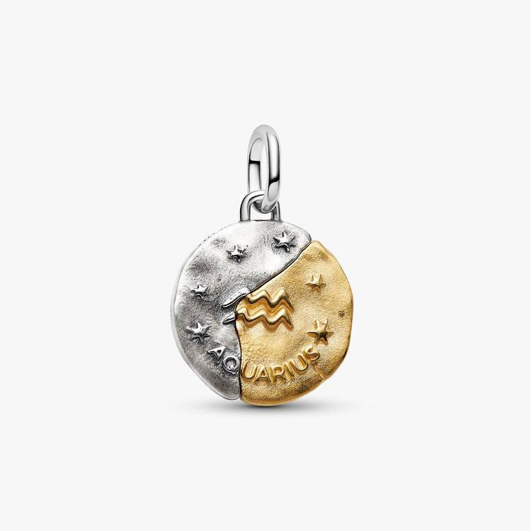 Aquarius Two-tone Zodiac Medallion Pandora Charm