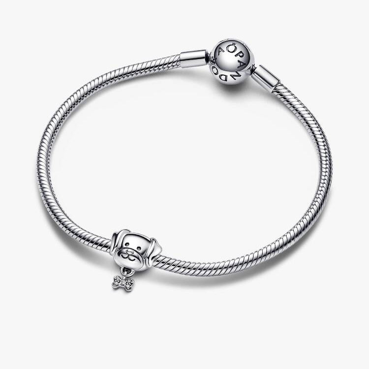 Pet Dog & Bone Pandora Charm