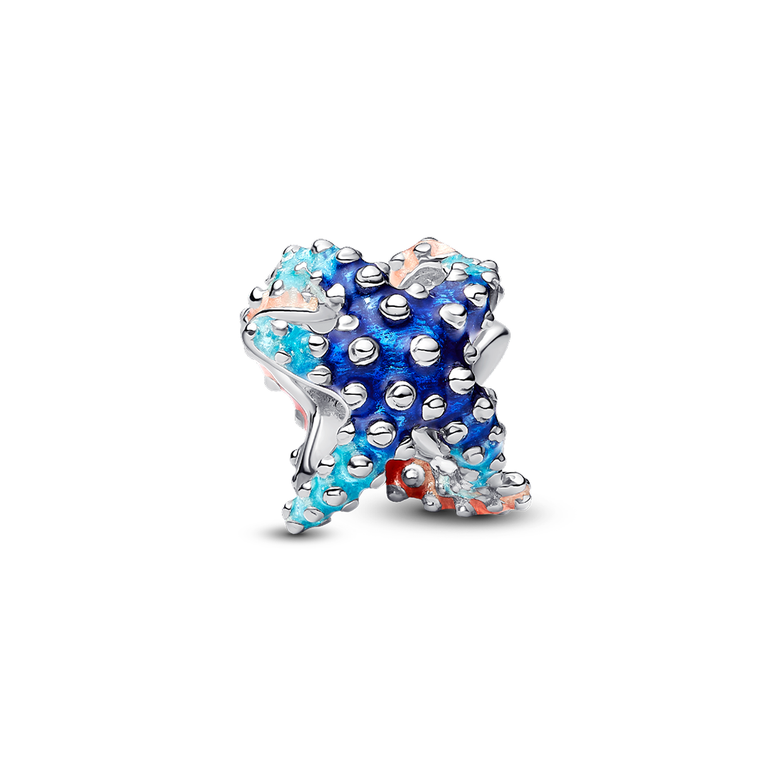 Colourful Starfish Mini Charm