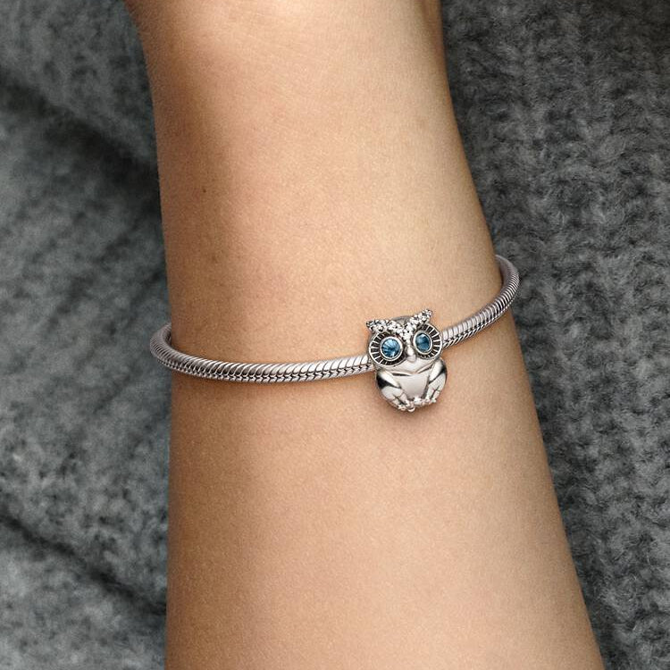 Sparkling Owl Pandora Charm
