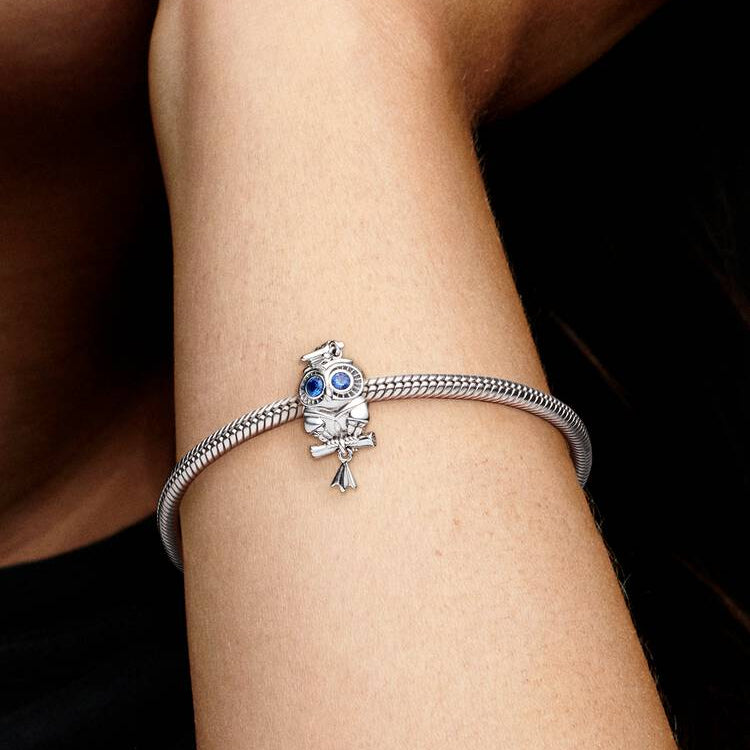 Wise Owl Graduation Pandora Charm