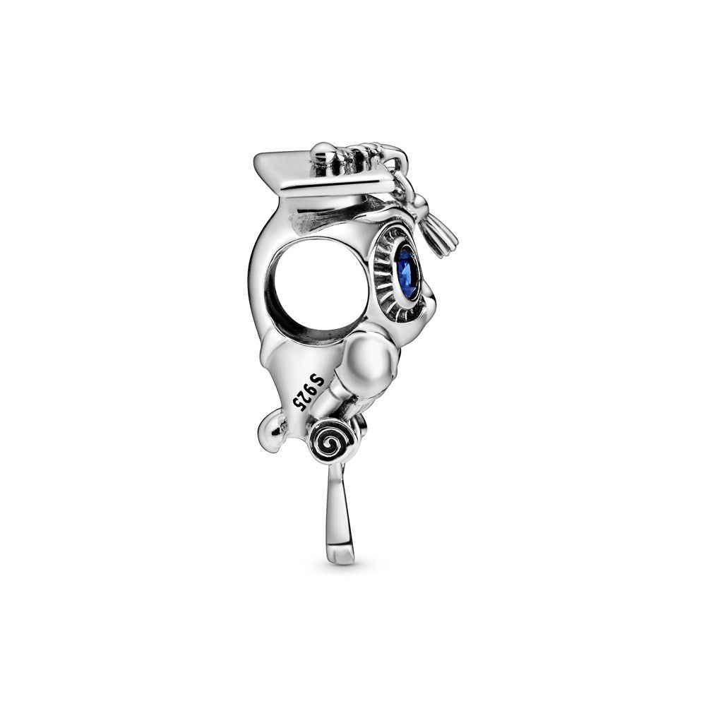 Wise Owl Graduation Pandora Charm