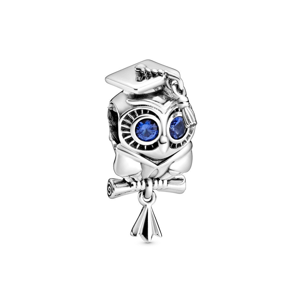 Wise Owl Graduation Pandora Charm