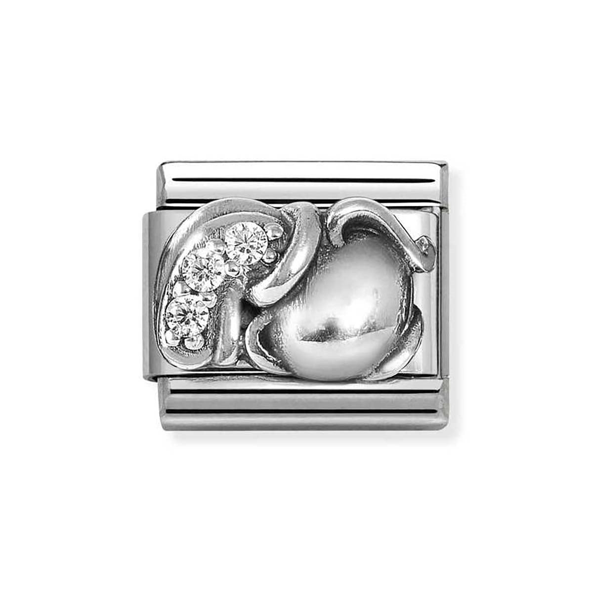 Aquarius Classic Silver Nomination Charm