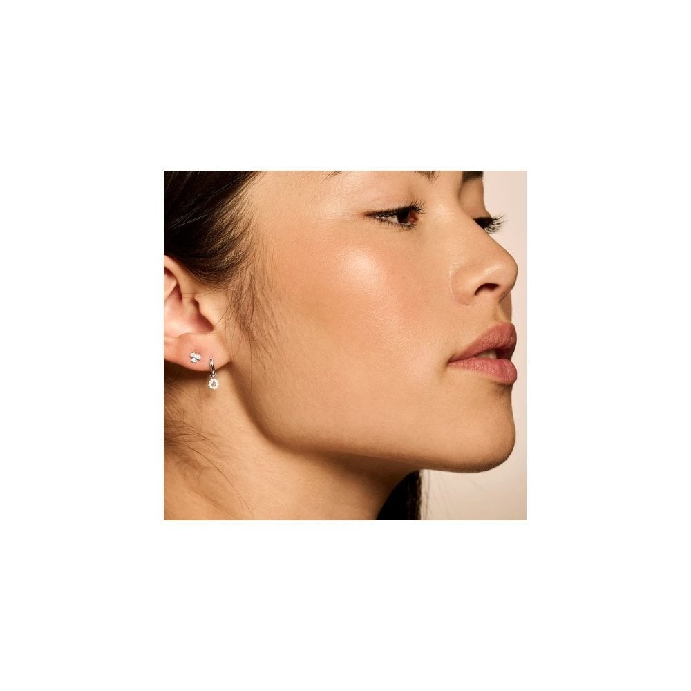 Blush 14k White Gold with Zirconia Stud Earrings