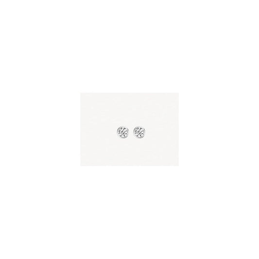Blush 14k White Gold with Zirconia Stud Earrings