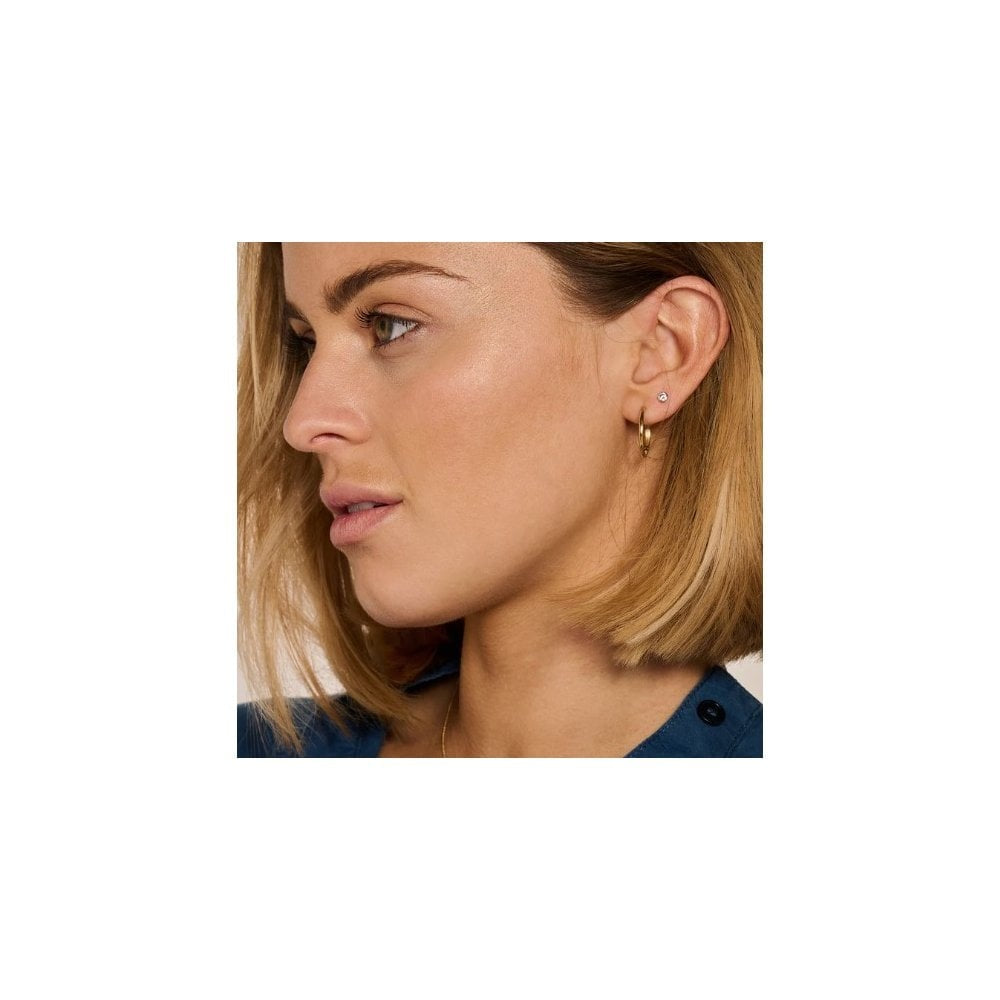 Blush 14k White Gold with Zirconia Stud Earrings