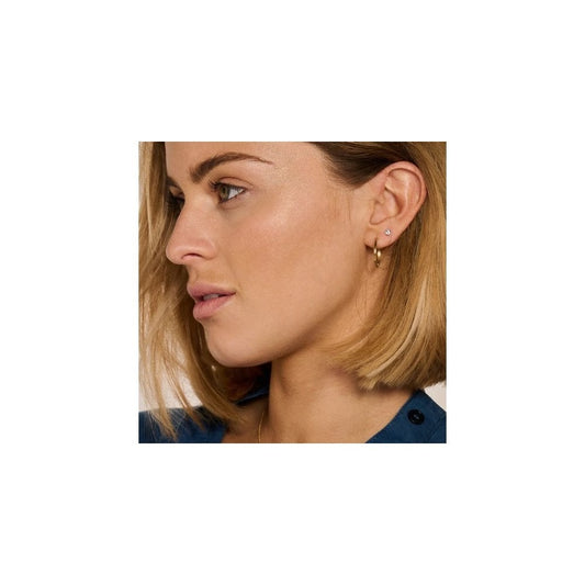 Blush 14k White Gold with Zirconia Stud Earrings