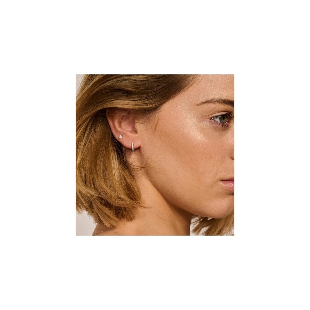 Blush 14k White Gold with Zirconia Stud Earrings
