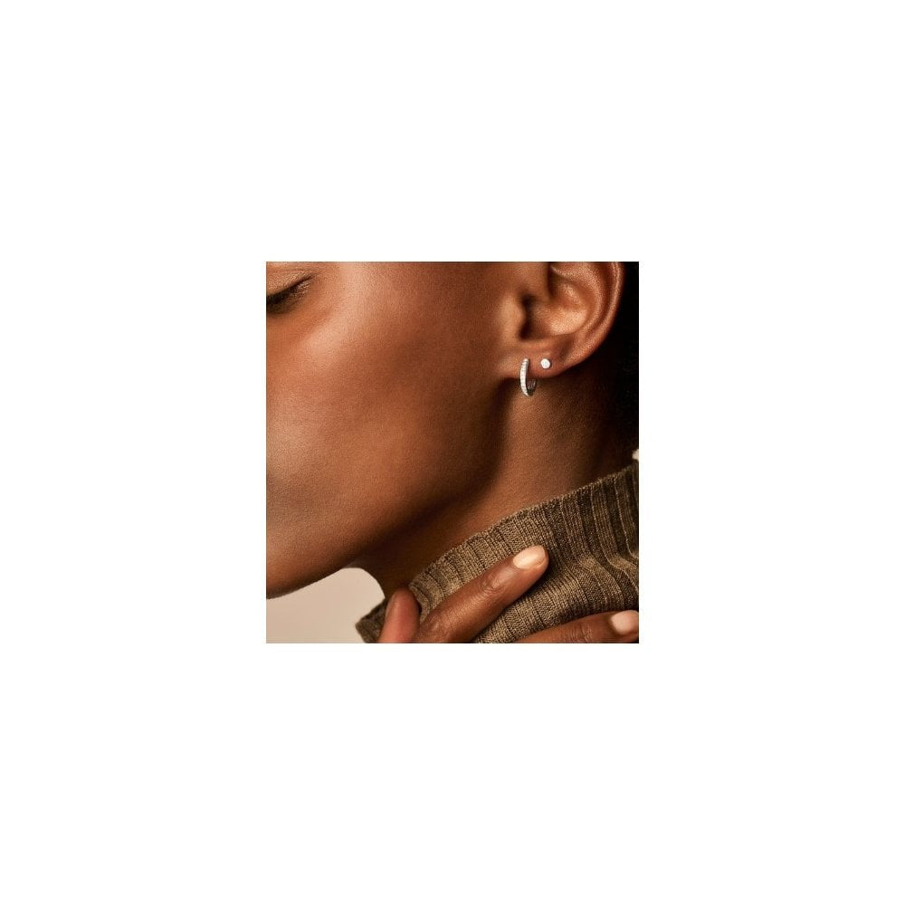 Blush 14k White Gold with Zirconia Stud Earrings