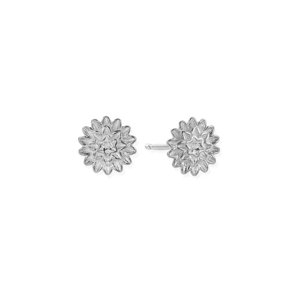 Botanical Beauty Stud Earrings
