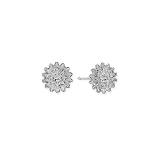 Botanical Beauty Stud Earrings