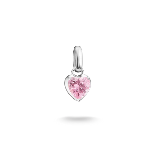 January Birthstone Thomas Sabo Connect Charm