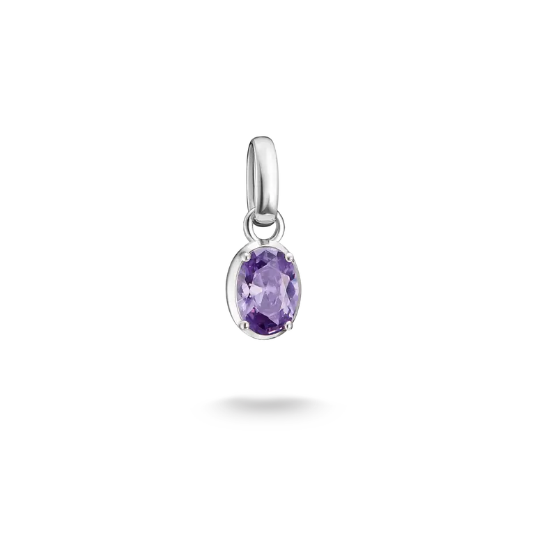 February Birthstone Thomas Sabo Connect Charm