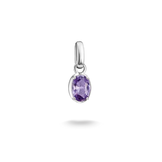 February Birthstone Thomas Sabo Connect Charm