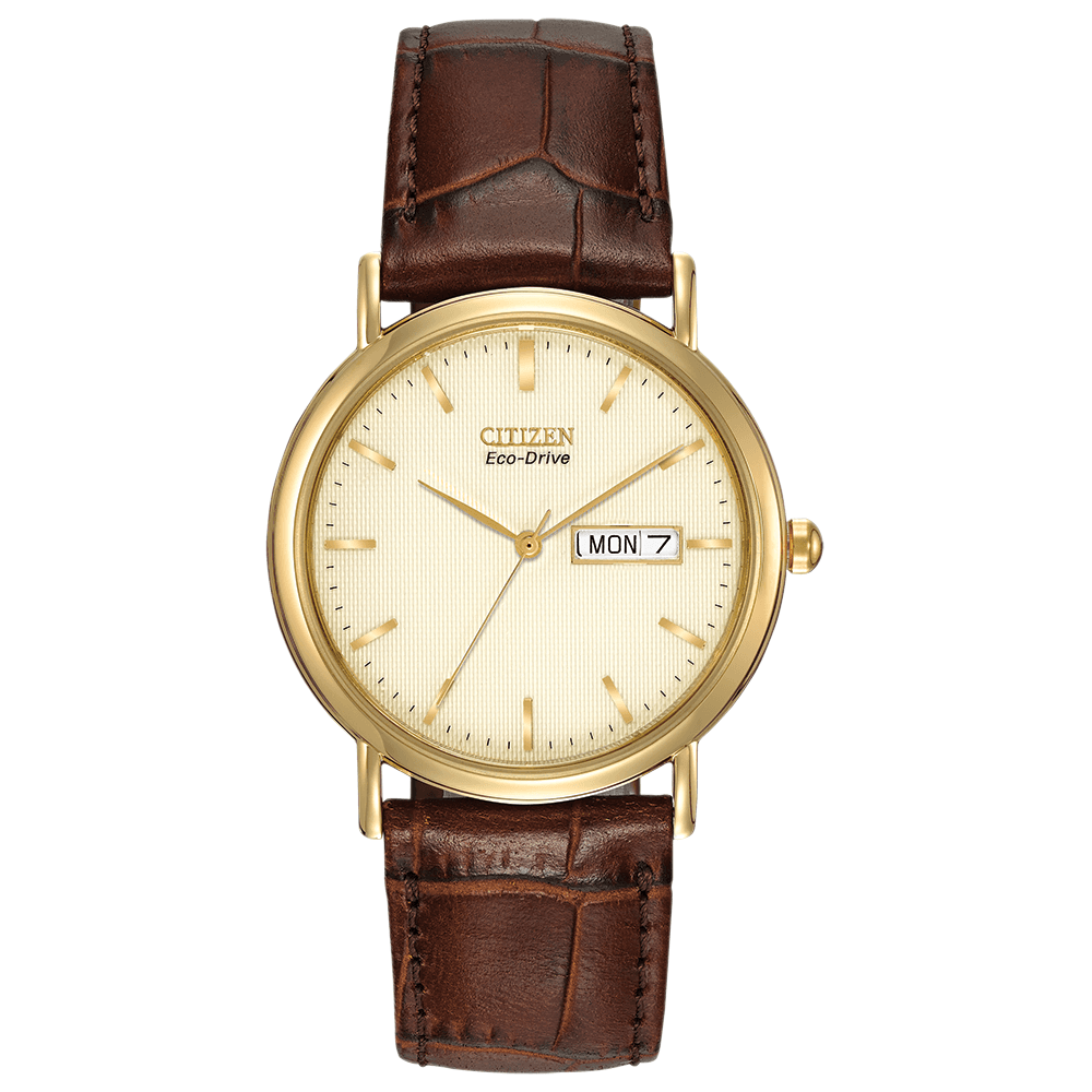 CITIZEN####S MEN####S DAY/DATE ECO-DRIVE WATCH WITH BROWN LEATHER STRAP