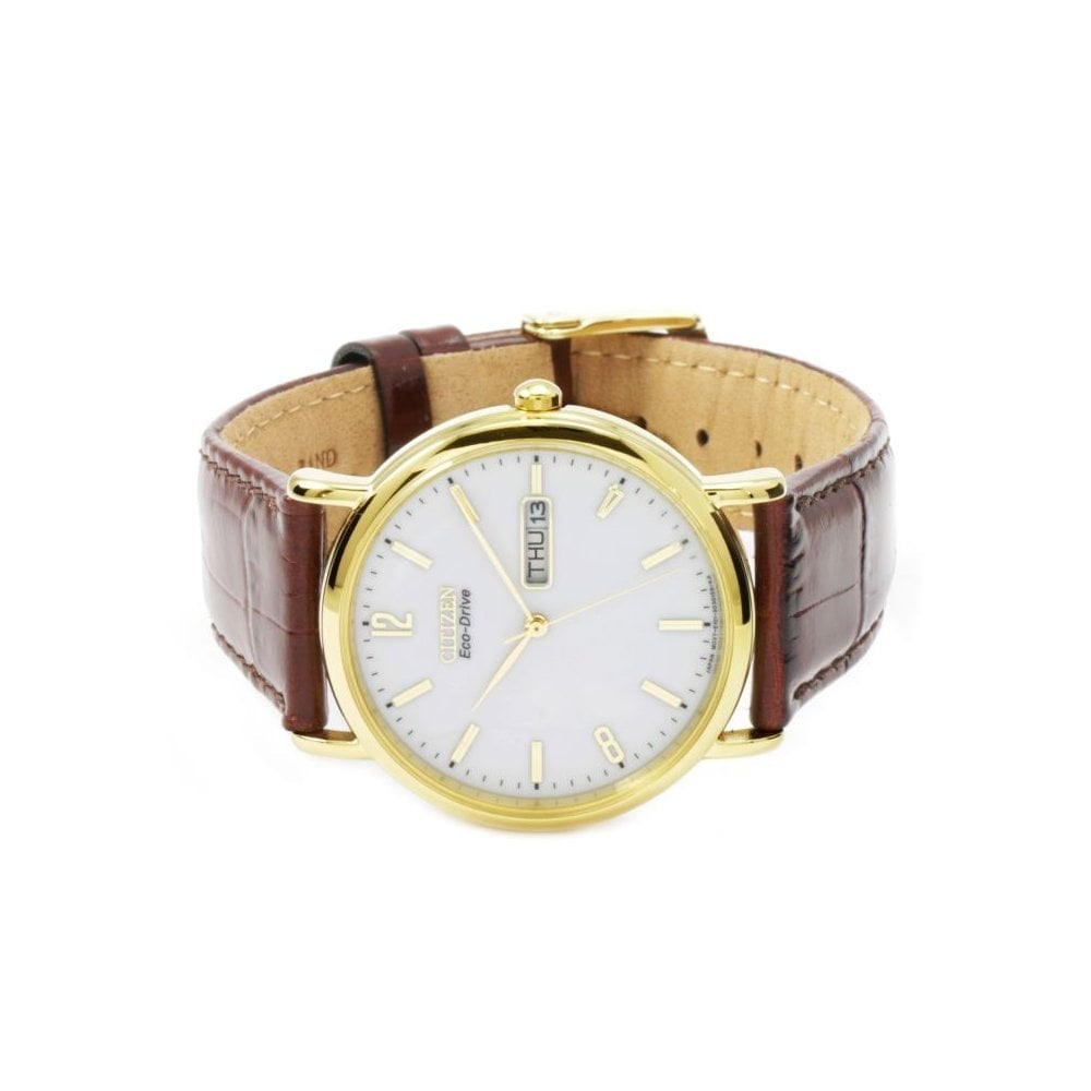 CITIZEN####S MEN####S DAY/DATE ECO-DRIVE WATCH WITH BROWN LEATHER STRAP