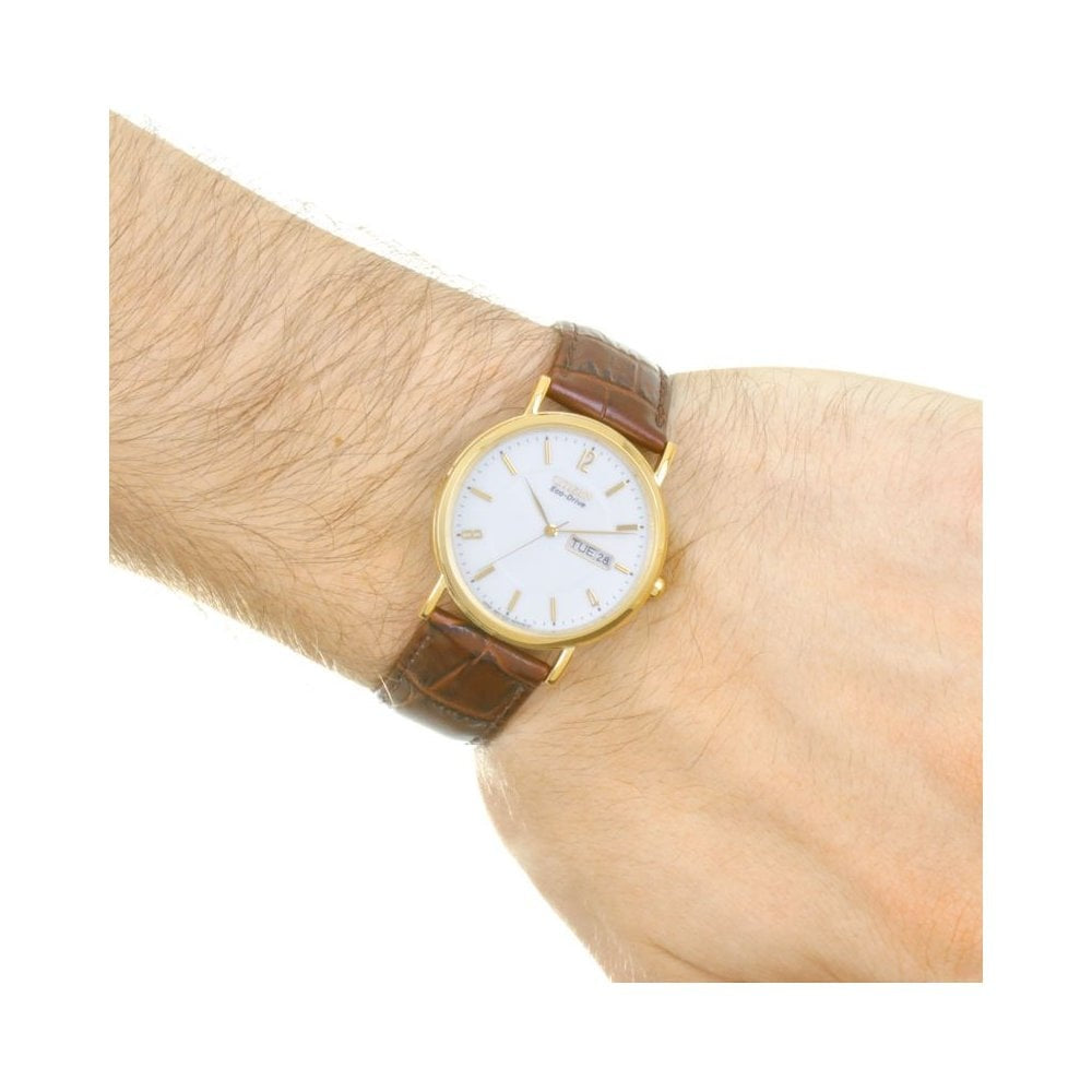 CITIZEN####S MEN####S DAY/DATE ECO-DRIVE WATCH WITH BROWN LEATHER STRAP