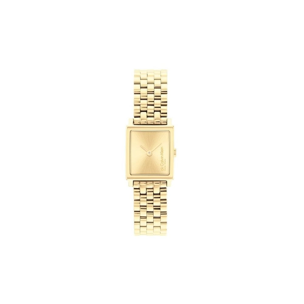 Calvin Klein Stainless Steel Swiss Watch