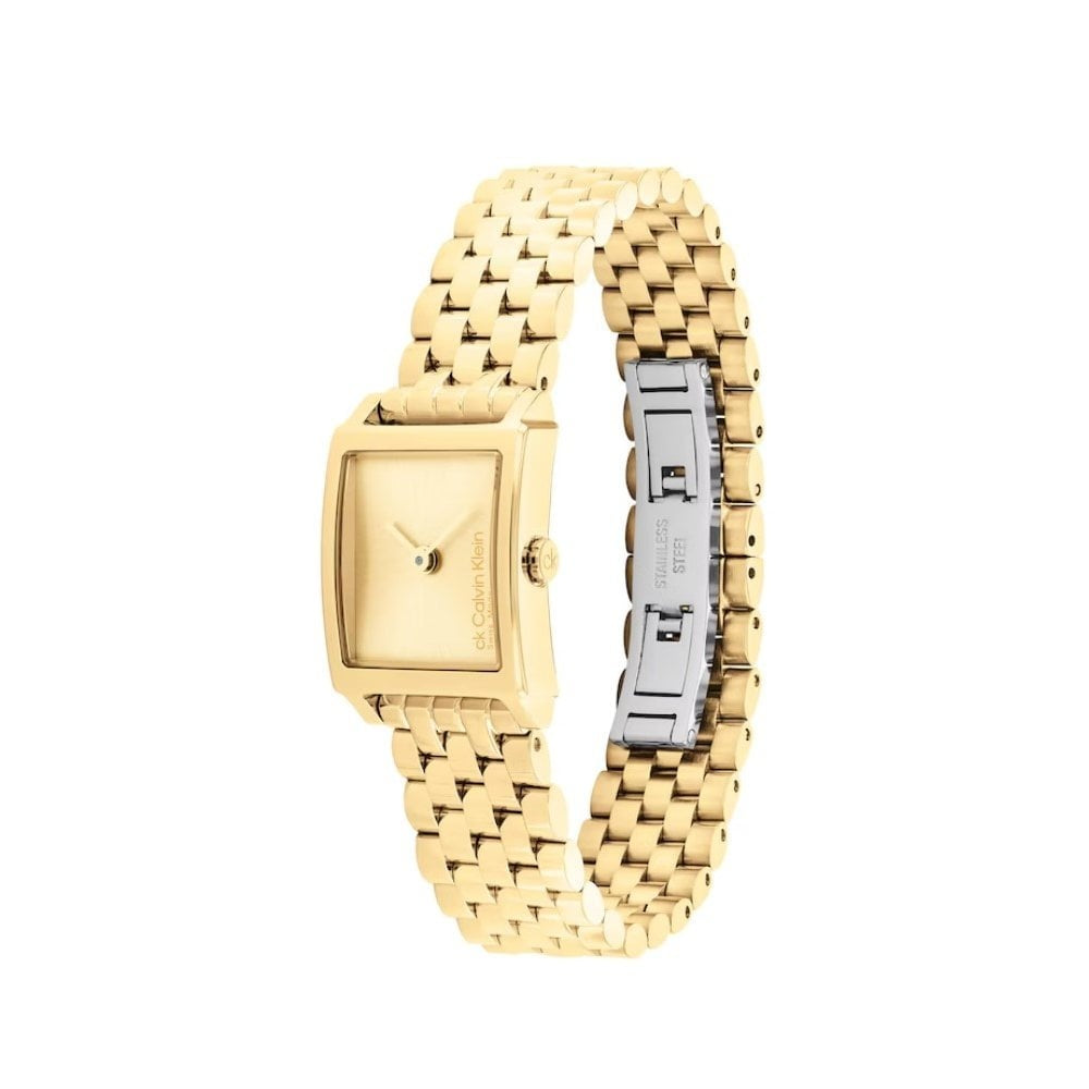 Calvin Klein Stainless Steel Swiss Watch
