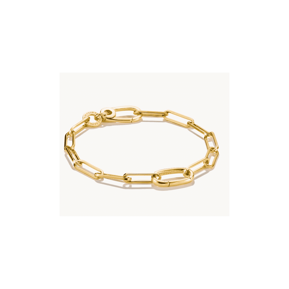 Charm bracelet paperclip with Connect link gold-plated length 19