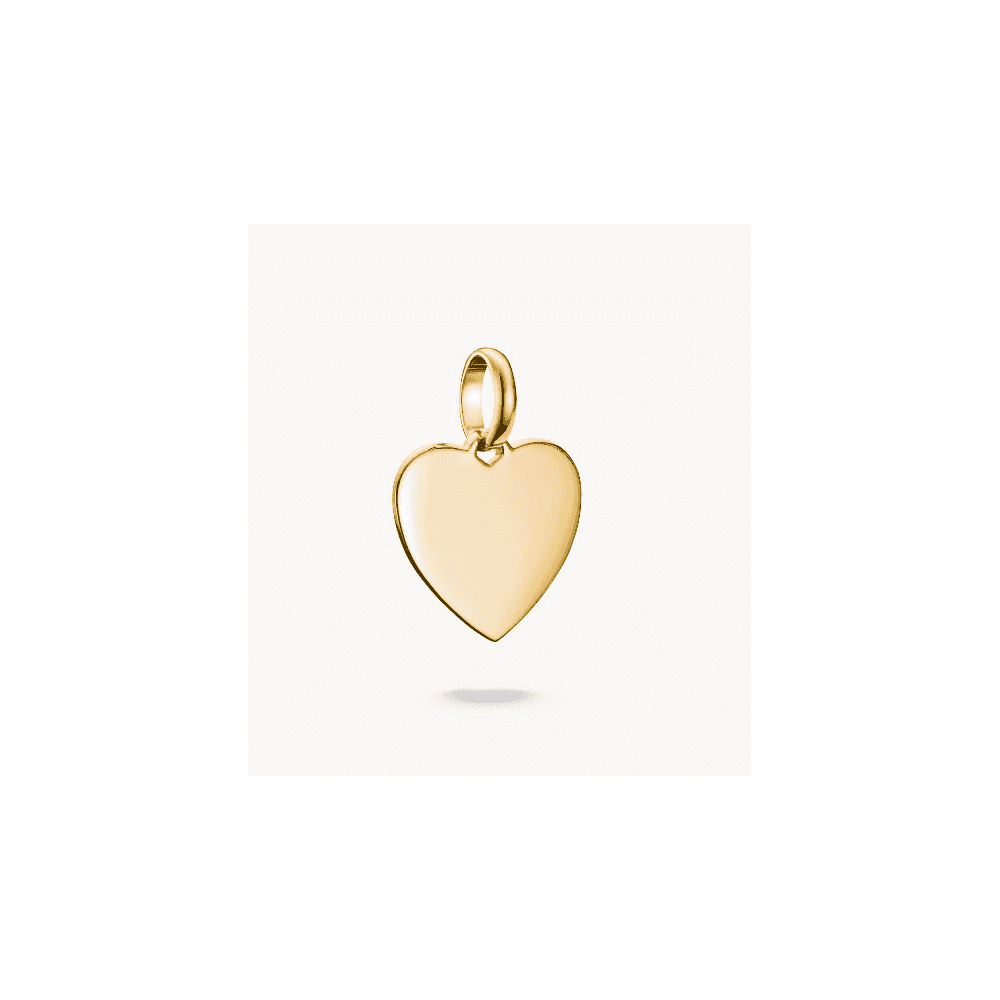 Charm pendant heart Connect gold-plated