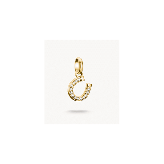 Charm pendant horseshoe with stones Connect gold-plated