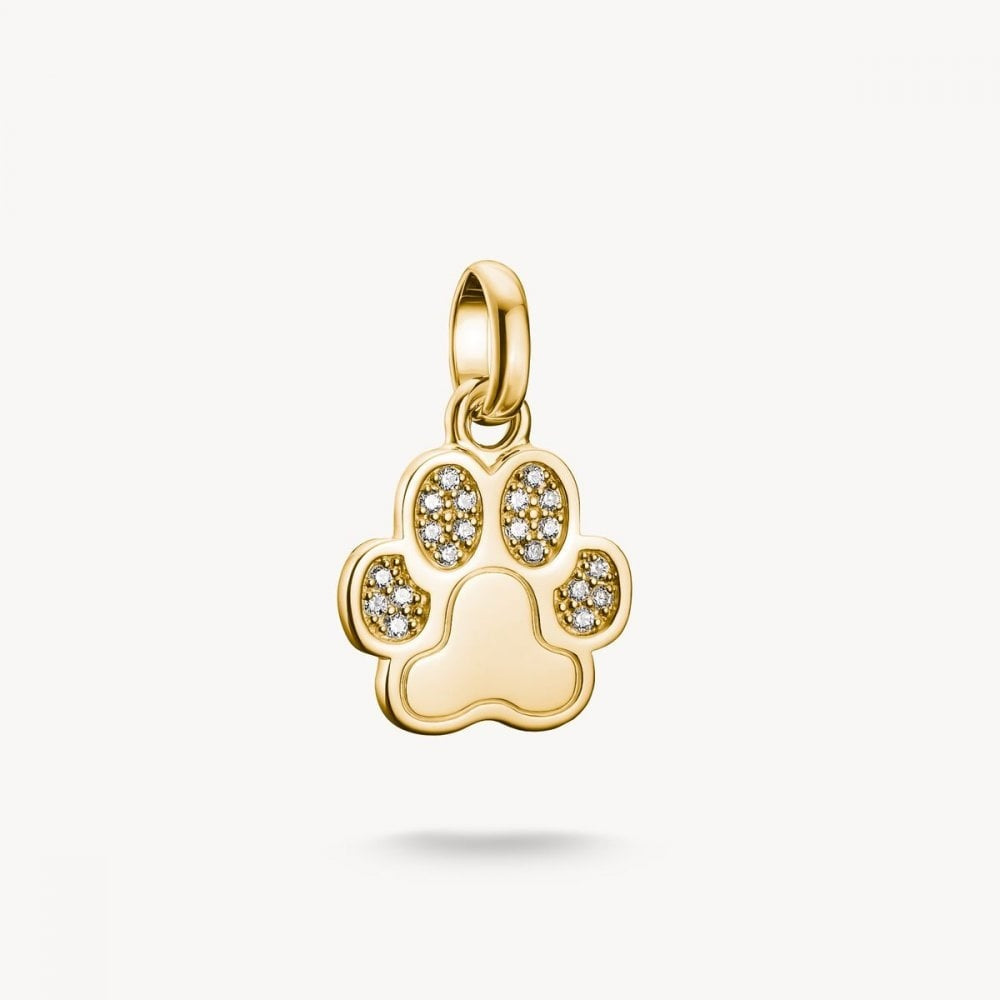 Charm pendant paw with stones Connect gold-plated