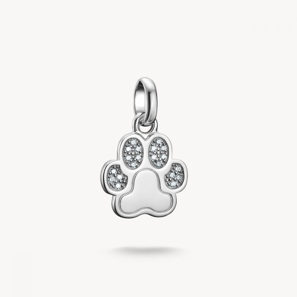 Charm pendant paw with stones Connect silver