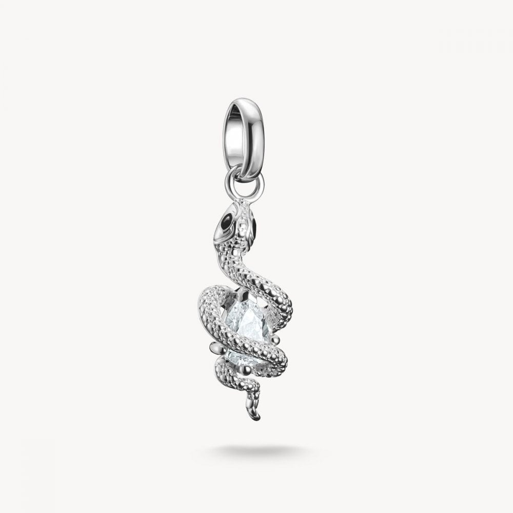 Charm pendant snake with stone Connect silver