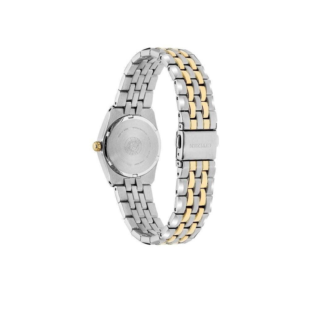 Citizen Corso Watch
