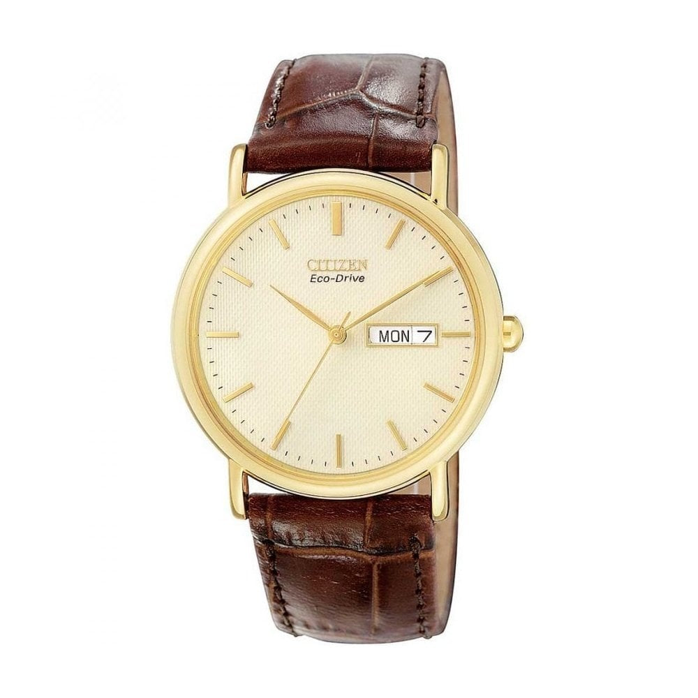 Citizen Day/Date Eco-Drive Brown Leather Watch