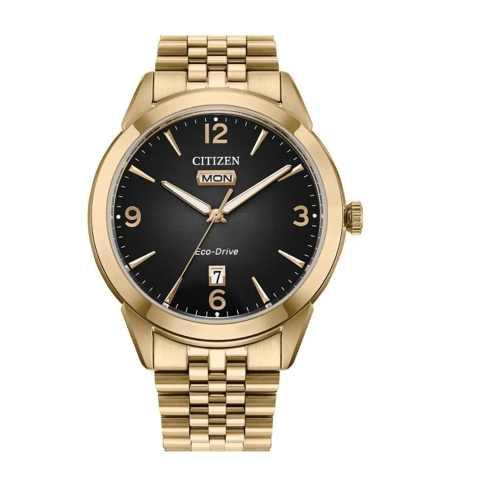 Citizen Rolan Watch